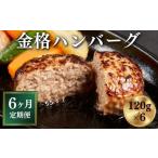 肉 ハンバーグ 定期便 全6回 格之進 金格ハンバーグ 計4.32…