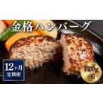 肉 ハンバーグ 定期便 全12回 格之進 金格ハンバーグ 計8.6…