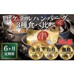 肉 ハンバーグ 定期便 全6回 格之進\超 TVでも紹介
