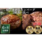 肉 ハンバーグ 定期便 6ヶ月 絶品ハンバーグ