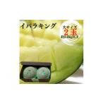 ふるさと納税 茨城県 鉾田市 イバラキングメロン（大）2玉（約3.2kg以上）