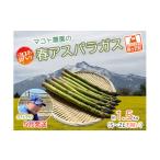 ショッピングふるさと納税 訳あり 不揃い ふるさと納税 青森県 鰺ヶ沢町 【先行予約2024年産】マコト農園の春アスパラガス！約1.5kg（S〜2L不揃い）【訳あり】【5月発送】青森県鰺ヶ沢町産