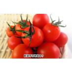 fu.... налог помидор мини помидоры Okayama префектура высота . город No.5615-0291 2026 год предшествующий предварительный заказ мини помидоры роза примерно 2kg Okayama высота . город производство ... иметь машина овощи 