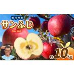 サンふじ 秀 約10kg