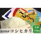 米 令和7年産 岐阜 ハツシモ 約10kg