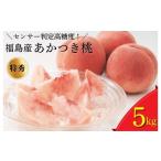 ふるさと納税 福島県 国見町 透過式光センサーあかつき桃　特秀5kg相当＜ ふくしま未来農業協同組合 ＞※ ふくしま 桃 福島 もも 国見 モモ※2024年7月中旬〜8…