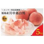 ふるさと納税 もも 福島県 国見町 透過式光センサー川中島白桃 特秀5kg相当 15玉〜18玉 ふくしま未来農業協同組合 | ふくしま 桃 福島 もも 国見 モモ 2025年8…