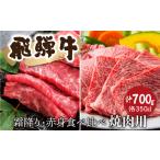 牛肉 セット 飛騨牛 霜降り 赤身 焼肉 各350g