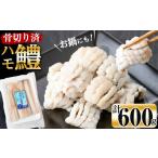 うなぎ お鍋 はもしゃぶにも 志布志湾鱧 骨切り済み 計600g