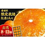 ふるさと納税 果物類 みかん 愛媛県 大洲市 紅まどんな 赤秀 8個から12個入（JA愛媛たいき管内産） 先行予約 11月下旬から順次発送 愛媛県大洲市／株式会社フ…