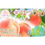 ふるさと納税 もも 福�