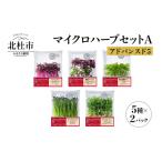 野菜類 ハーブ マイクロハーブ セット A アドバンスド5