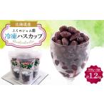 果物類 冷凍ハスカップ 300g×4袋セット