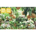 ショッピングふるさと納税 梨 ふるさと納税 梨 福島県 福島市 No.1797梨　幸水　約5kg 2026年発送 先行予約