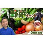 セット 詰合せ リピーター続出 野菜セット