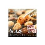 但馬牛経産牛 ホルモンミックス 500g×2パック