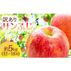 ふるさと納税 りんご 青森県 鰺ヶ沢町 りんご 訳あり 青森 サンふじ 約 5kg (12〜18玉) リンゴ サイキチ農園 青森県 鰺ヶ沢町産 フルーツ 果物 不揃い 傷 林…