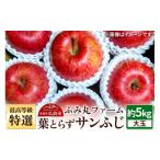 ふるさと納税 りんご 青森県 弘前市 25年12月発送 りんご 最高等級「特選」大玉 葉とらず サンふじ 約5kg 糖度14度以上 レビューキャンペーン