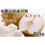 産の梨 約2kg