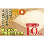 湧水で育った 産ブレンド米 10kg