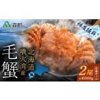 ふるさと納税 カニ 毛ガニ 北海道 森町 先行予約 北海道・噴火湾産冷凍ボイル毛ガニ約300g前後×2尾 海鮮問屋 株式会社 瑞宝 かに カニ 蟹 ガニ がに 森町 …