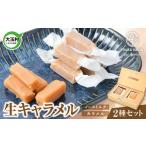 菓子 詰合せ 生キャラメル セット 2種