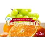 果物の詰合せ 九州 福岡フルーツ王国八女