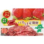 果物の詰合せ 博多和牛と旬のフルーツが届く
