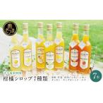 果汁飲料 セット 柑橘シロップ 300ml×7本セット