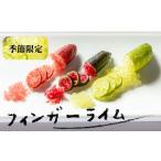 果物類 フィンガーライム 50g