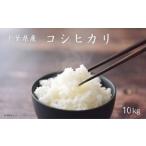 米 コシヒカリ 10kg