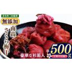 豆腐 納豆 無添加 南高 さくら 梅干 500g