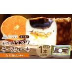 ケーキ カステラ チーズケーキ 屋久島の手作りバスクチーズ…