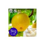 ふるさと納税 梨 千葉県 鎌ケ谷市  先行予約 豊水3kg かまがやの梨