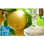ふるさと納税 梨 千葉県 鎌ケ谷市  先行予約 幸水3kg かまがや育ちの完熟梨（観光組合）