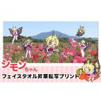 タオル 寝具 フェイスタオル シモンちゃん