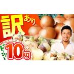 fu.... налог овощи вид шар лук порей Saga префектура . север блок предшествующий предварительный заказ есть перевод 2026 год 3 месяц последняя декада после отправка Saga префектура производство шар лук порей 10kg. шт магазин HAO007