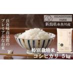 ふるさと納税 米 コシ