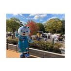 �ӂ邳�Ɣ[�� �C�x���g��`�P�b�g�� ���s�{ ���s�s  B���[�O ���s�n���i���[�Y �͂�j���������T�v���C�Y�K��