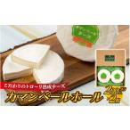 加工品等 チーズ カマンベールホール 200g×2個