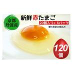 fu.... налог яйцо ( курица,.. курица и т.п. ) Kyoto (столичный округ) черепаха холм город свежий яйцо Kyoto * Tanba. красный Tama .100 шт + трещина гарантия 20 шт итого 120 шт l сырой яйцо Tama . куриное яйцо небольшое количество ... подарок свежий яйцо...