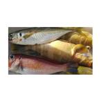 旬の鮮魚等 創業令和3年 何十年ぶりに浜田で鮮魚店誕生