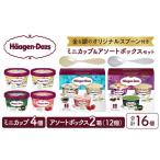 ショッピングハーゲンダッツ ふるさと納税 北海道 浜中町 【金と銀のスプーン同梱】ハーゲンダッツアイスクリーム　アソート＆ミニカップ　バラエティセット アイス スイーツ デザート_H00…