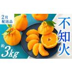 ふるさと納税 みかん・柑橘類 福岡