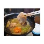 お食事券 天然くえ満足コースお食事券 おひとり様用お食事券