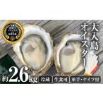 ふるさと納税 牡蠣 生牡蠣 大分県 佐伯市 \牡蠣1グランプリ最高金賞受賞/ 真ガキ 大入島オイスター (約2.6kg) 牡蠣 かき カキ 貝 海鮮 魚介類 冷蔵 生食可 …