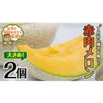 ふるさと納税 メロン メロン赤肉 茨城県 つくばみらい市 大きめ 赤肉 メロン 2個 7月発送開始 田舎の頑固おやじが厳選