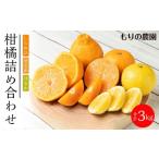みかん 柑橘類 デコポン 旬の柑橘詰め合わせ 約3kg