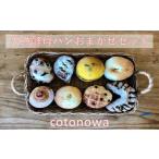 パン cotonowa おまかせパンセット