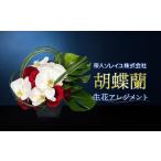 花 胡蝶蘭 生花アレンジメント H250mm×W300mm